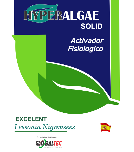 E.T HYPERALGAE SOLID 2025