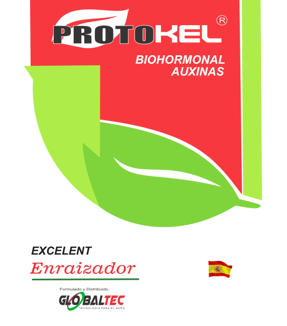 E.T PROTOKEL